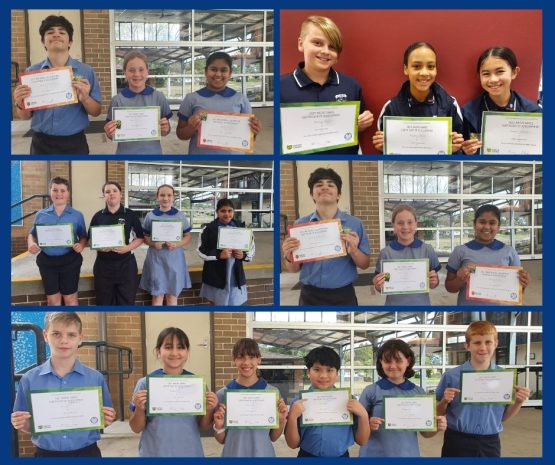 australian problem solving mathematical olympiad